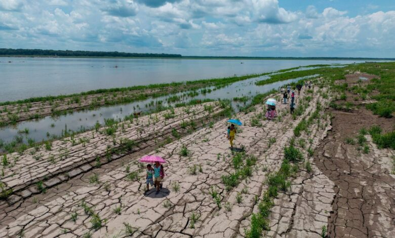80% de riesgo de un episodio de El Niño este verano con episodios climáticos extremos 80% de riesgo de un episodio de El Niño este verano con episodios climáticos extremos